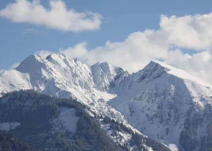 Dr- Adler 2 By Interhome *